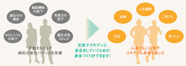 不調をもたらす病的な老化バランスを改善することで心身ともに元気ではつらつとした長寿を楽しむための身体づくりができます!